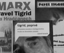 Tigrid