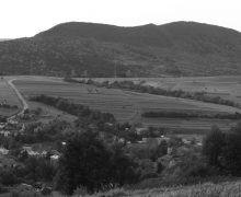 Cergowa