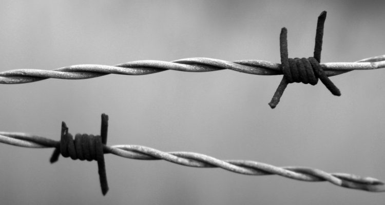 barbed-wire-1269430_1920