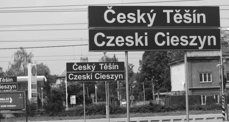 Tesin