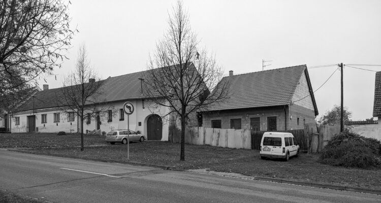 imageMOR
