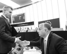 EP-173150A_plenary_9_Hungary