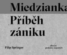 Miedz